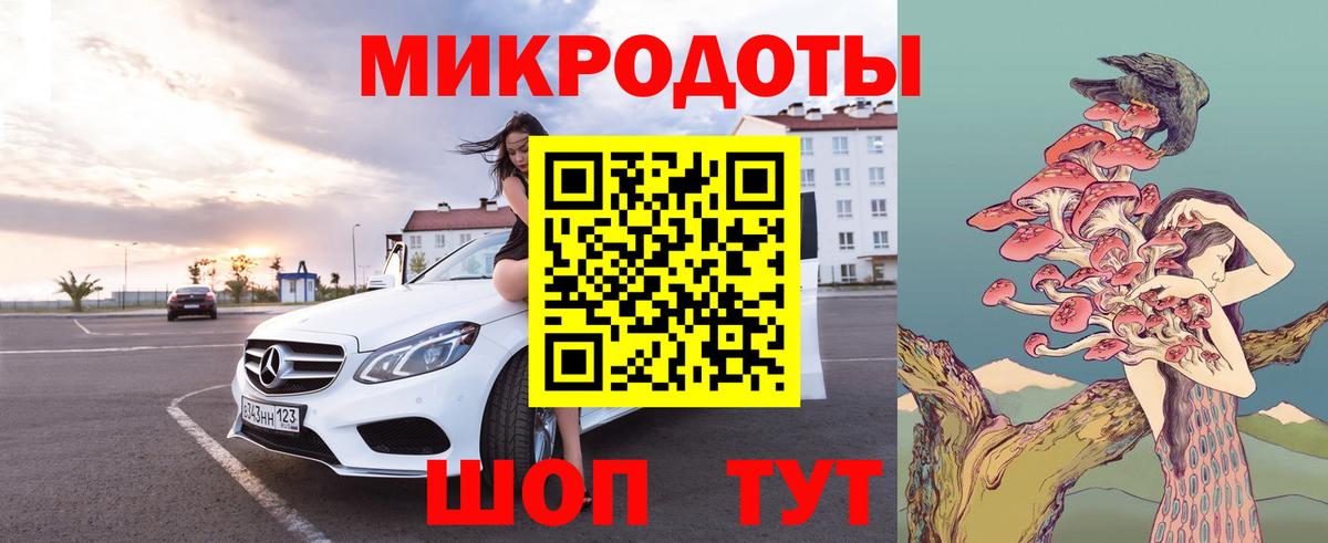 Галлюциногенные грибы Psilocybe Баксан